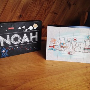 Elijah and Noah blocks