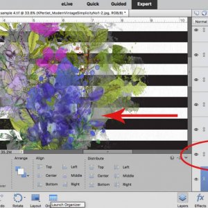 screen shots for watery blumes challenge