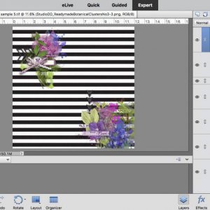 screen shots for watery blumes challenge