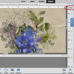 screen shots for watery blumes challenge