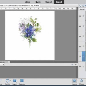 screen shots for watery blumes challenge