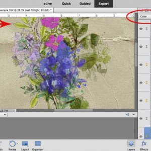 screen shots for watery blumes challenge