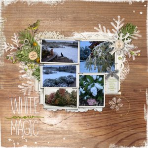 White Snow Magic