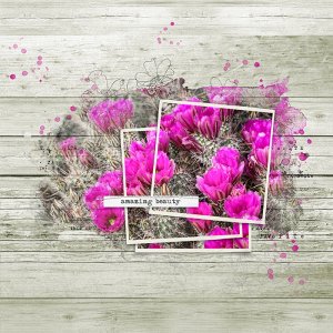 Color Challenge May 2019