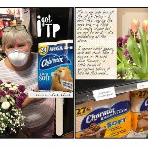 Get Inspired seed challenge