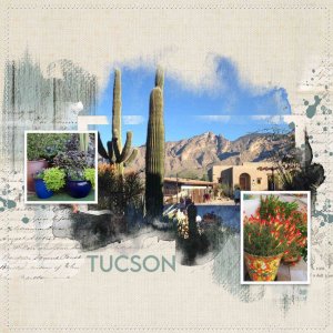 Tucson 2017 1