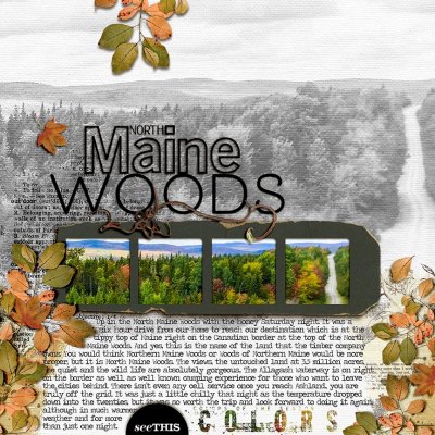North-Maine-Woods.jpg