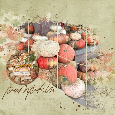 Fall Pumpkins_web.jpg