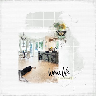 Home Life-SSL