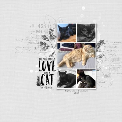Love & Cats_2020.