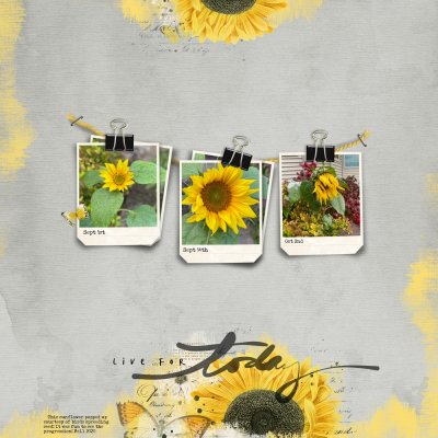 SSL 12.5.2020