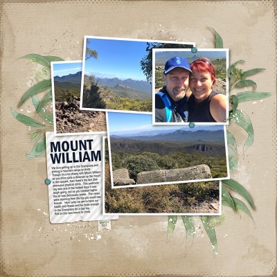 Mount William