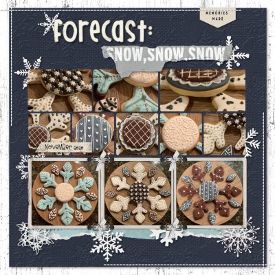 Forecast Snow Snow Snow