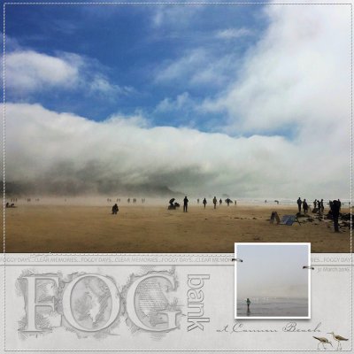 Fog Bank