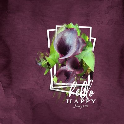 Hello Happy - Calla