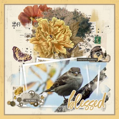 Sparrow