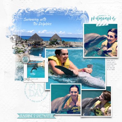 Swimming with the Dolphins