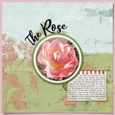 01-21The-Rose.jpg