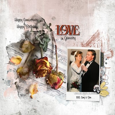 January Wedding Anniversary