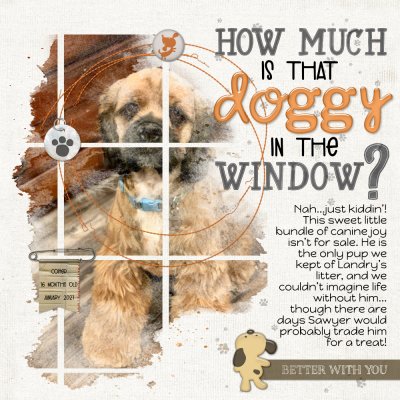 How Much Is That Doggy In The Window