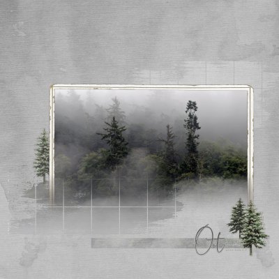 out of the fog