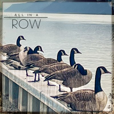 SSL: All in a Row_Literally