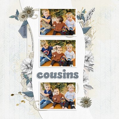Cousins-SSL