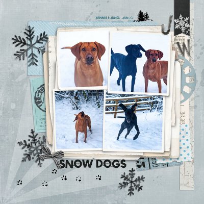 Snow Dogs