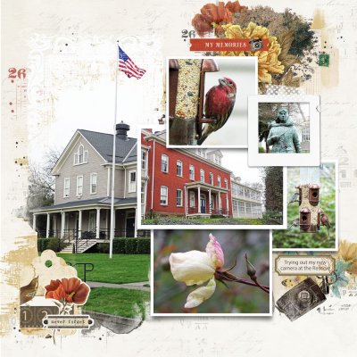 Photowalk at the Historic Reserve