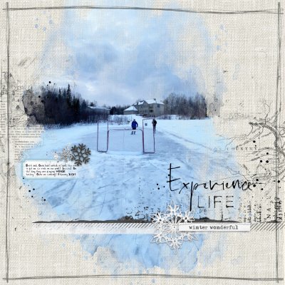 Winter Wonderful: Monthly crop