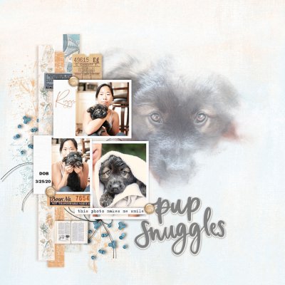 2021-2-11-PupSnuggles.jpg