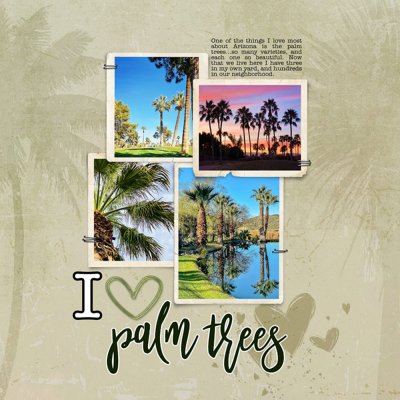 Something I Love Challenge_ 02-21_PalmTrees.jpg