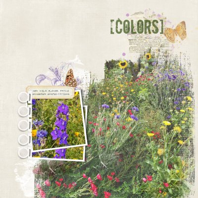wild-flowers.jpg