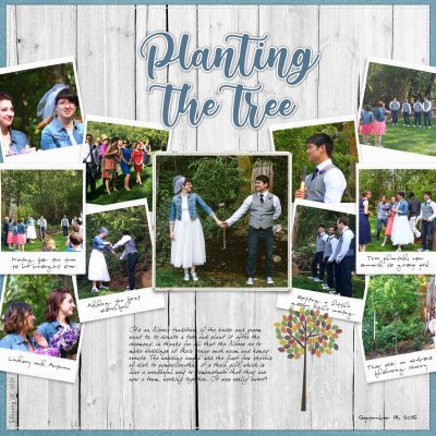 2015 Wedding - Planting the tree