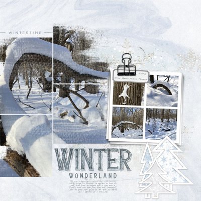 Winter Wonderland-River Forest.jpg