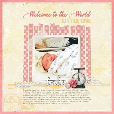 Welcome to the World.jpeg