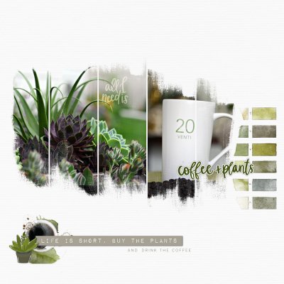 coffee and plants