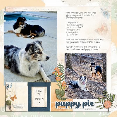 Puppy Pie