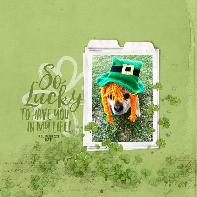 Happy St. Patrick's Day!