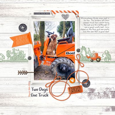 two dogs one truck