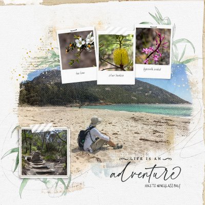 Hike to Wineglass Bay