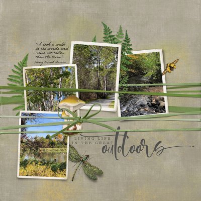Great Outdoors