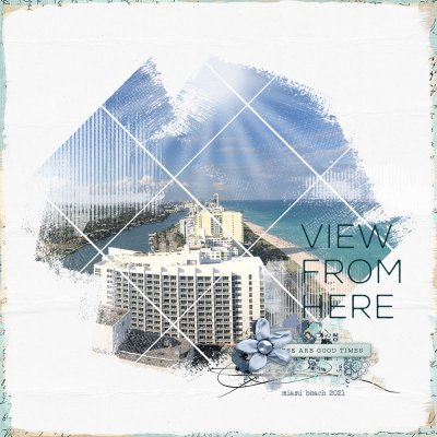 View From Here Miami Beach.jpg