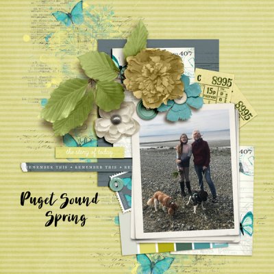 Color Challenge - Color Picking Tool -Puget Sound Spring