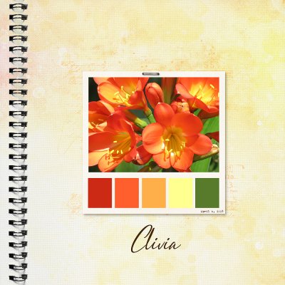 Color Palette - Clivia