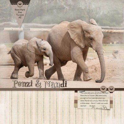 Nandi & Penzi
