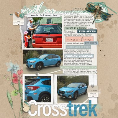 The Crosstrek