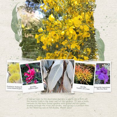 Australian Garden Page 2