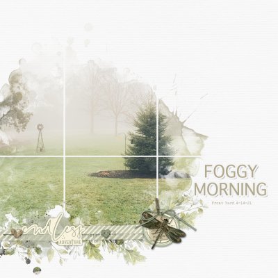 SSL 4-17 Foggy Morning