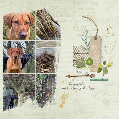 Gardening with Winnie and Juno